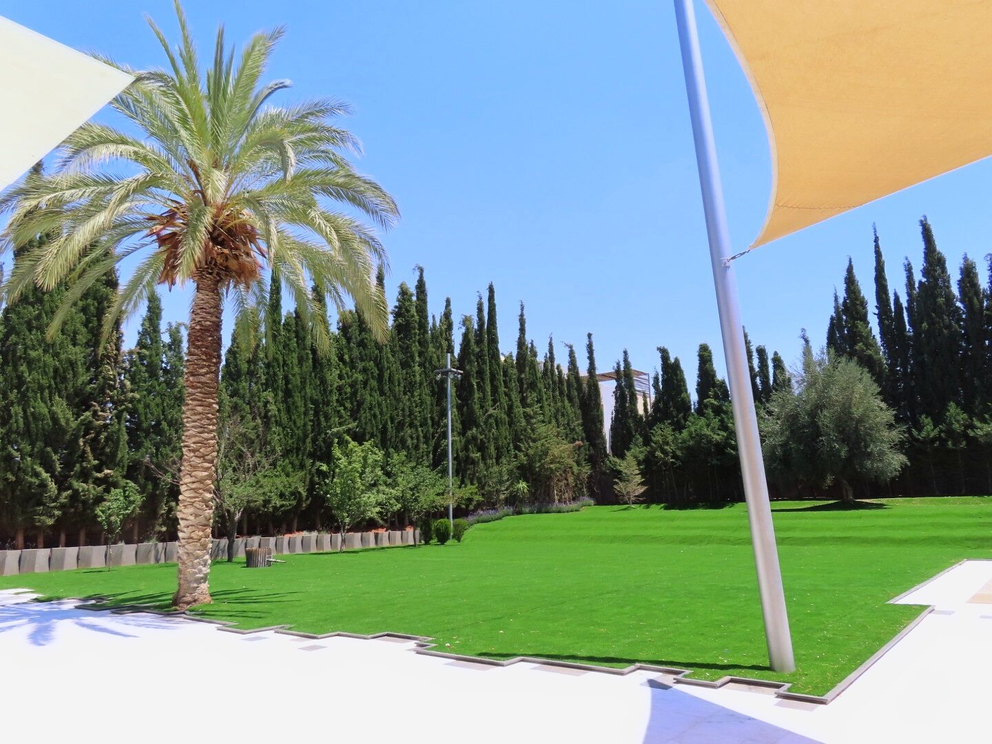 Garden, daytime